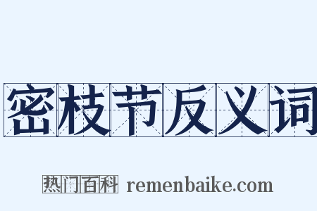 密枝节反义词是什么意思的图片